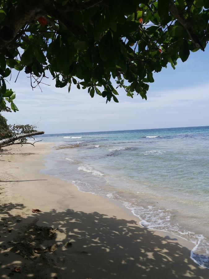 Hostal Cecilia Puerto Viejo de Talamanca エクステリア 写真