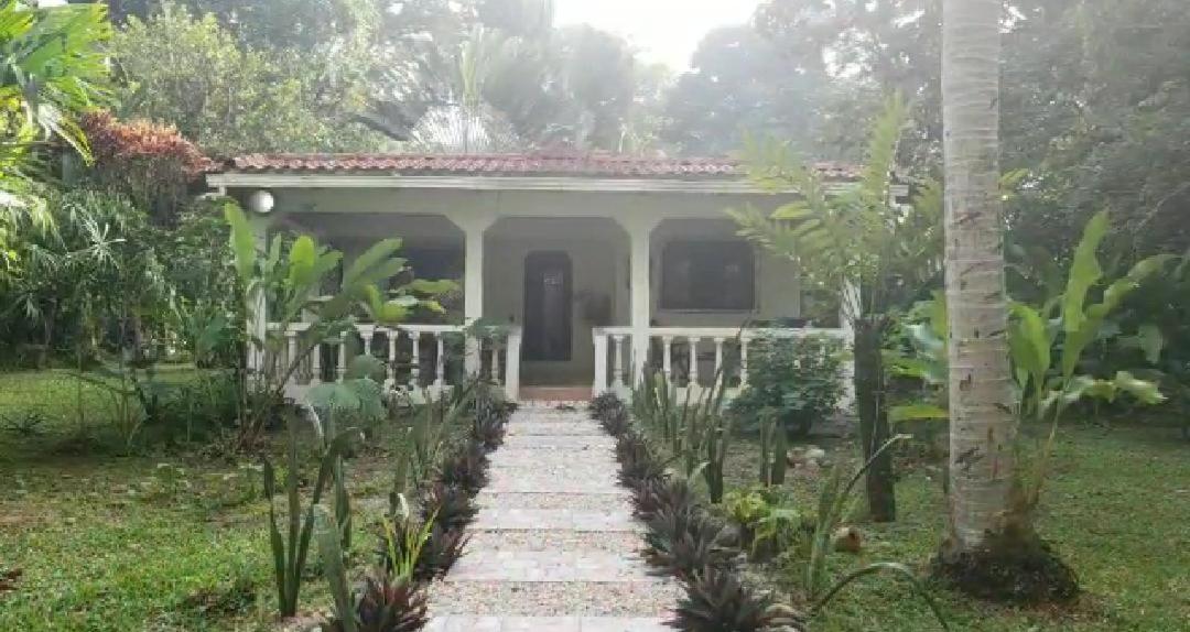 Hostal Cecilia Puerto Viejo de Talamanca エクステリア 写真