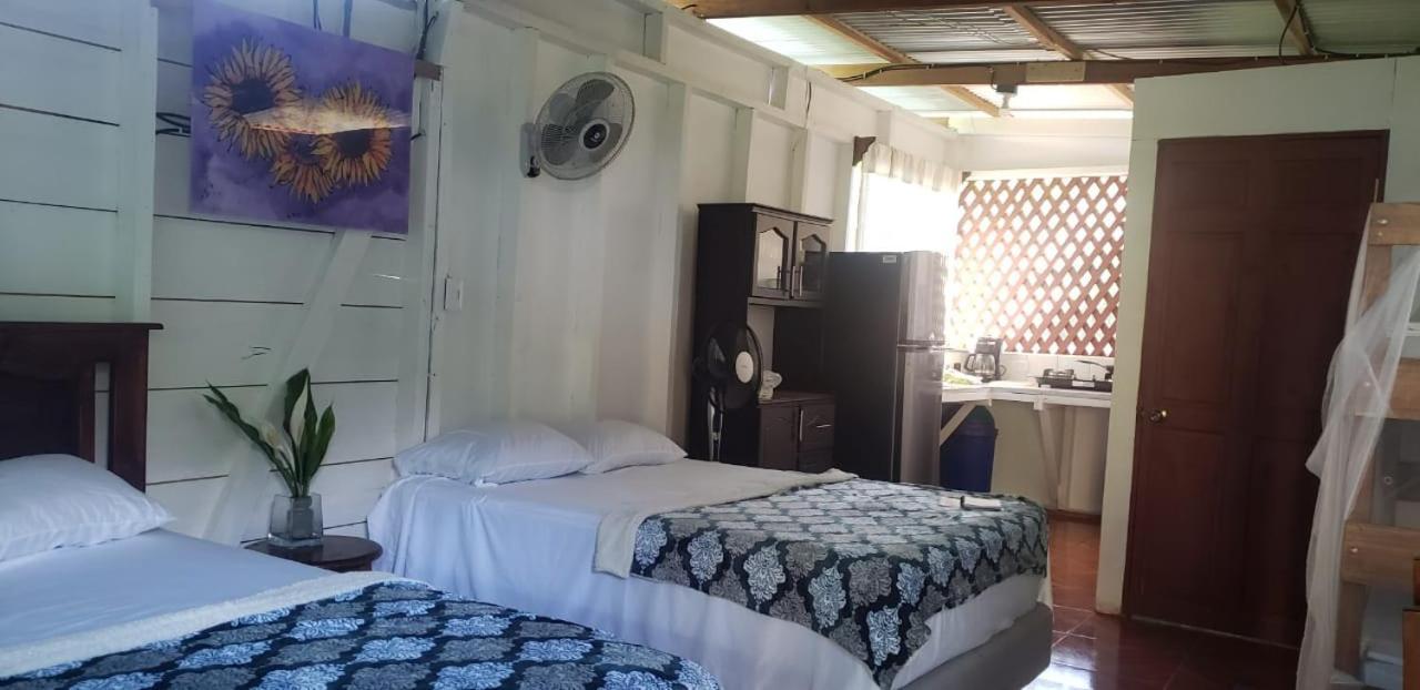 Hostal Cecilia Puerto Viejo de Talamanca エクステリア 写真