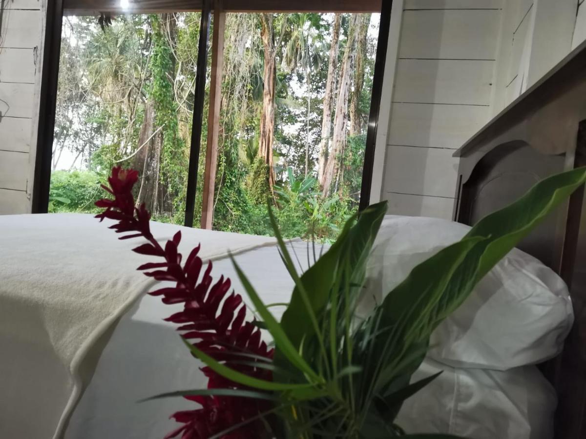 Hostal Cecilia Puerto Viejo de Talamanca エクステリア 写真