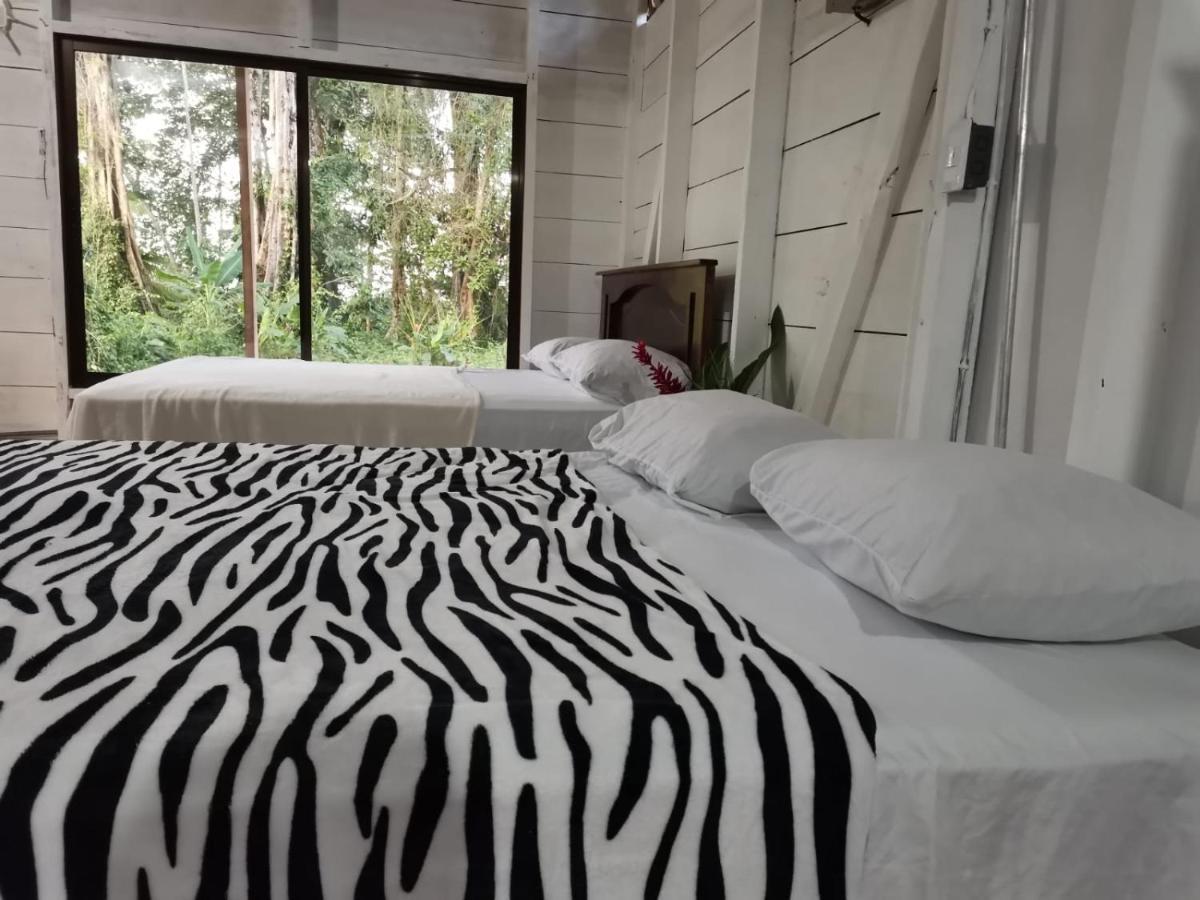 Hostal Cecilia Puerto Viejo de Talamanca エクステリア 写真