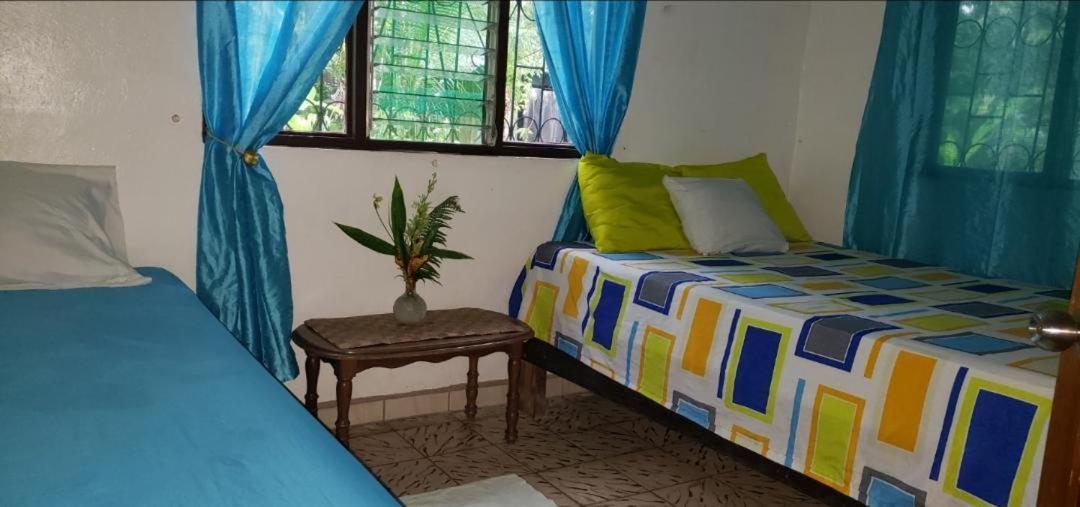 Hostal Cecilia Puerto Viejo de Talamanca エクステリア 写真
