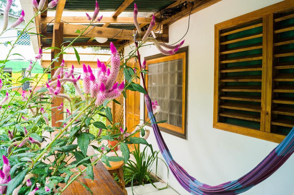 Hostal Cecilia Puerto Viejo de Talamanca エクステリア 写真