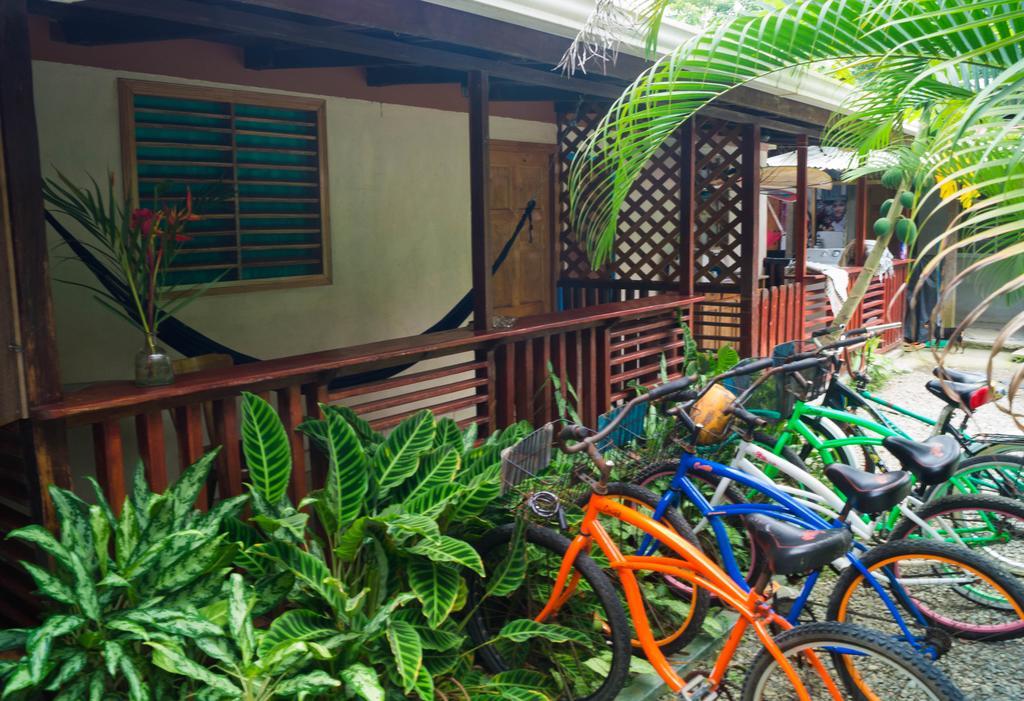 Hostal Cecilia Puerto Viejo de Talamanca エクステリア 写真