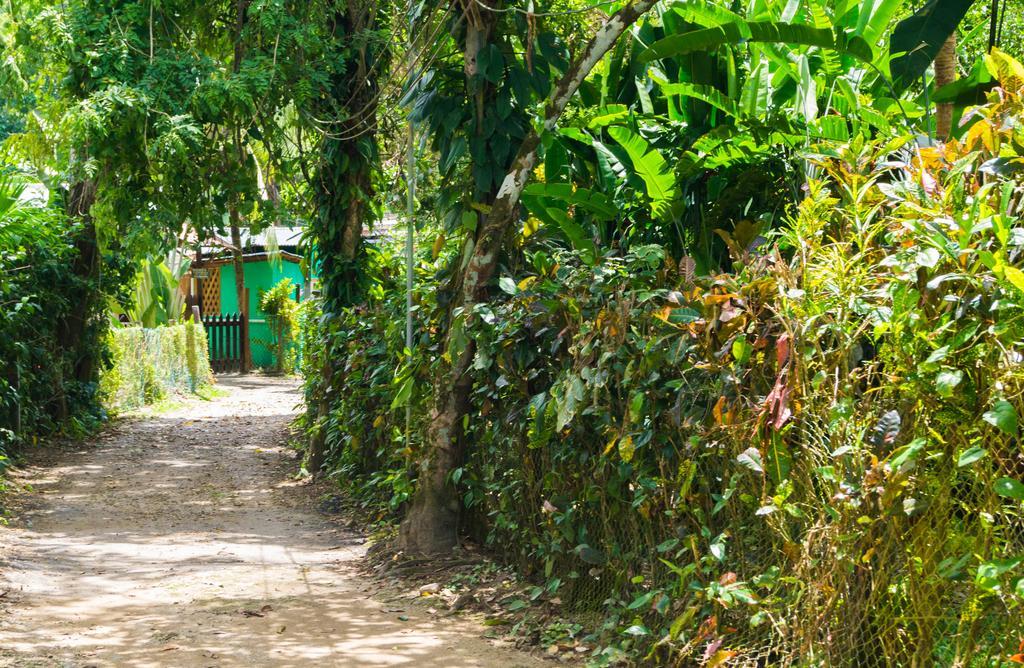 Hostal Cecilia Puerto Viejo de Talamanca エクステリア 写真