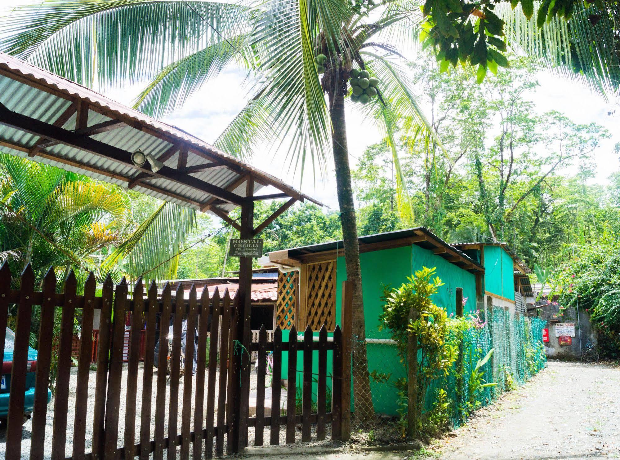 Hostal Cecilia Puerto Viejo de Talamanca エクステリア 写真