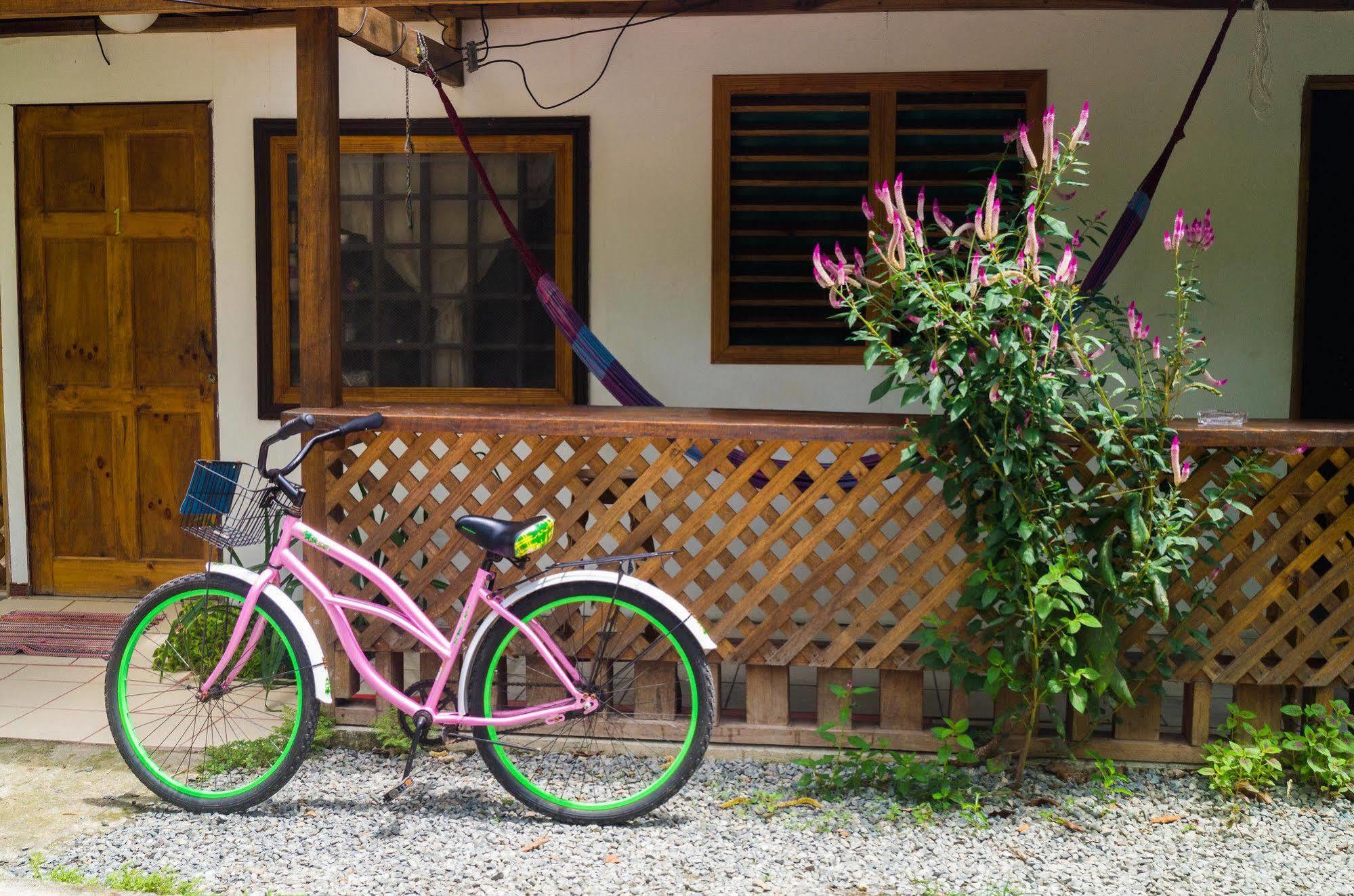 Hostal Cecilia Puerto Viejo de Talamanca エクステリア 写真