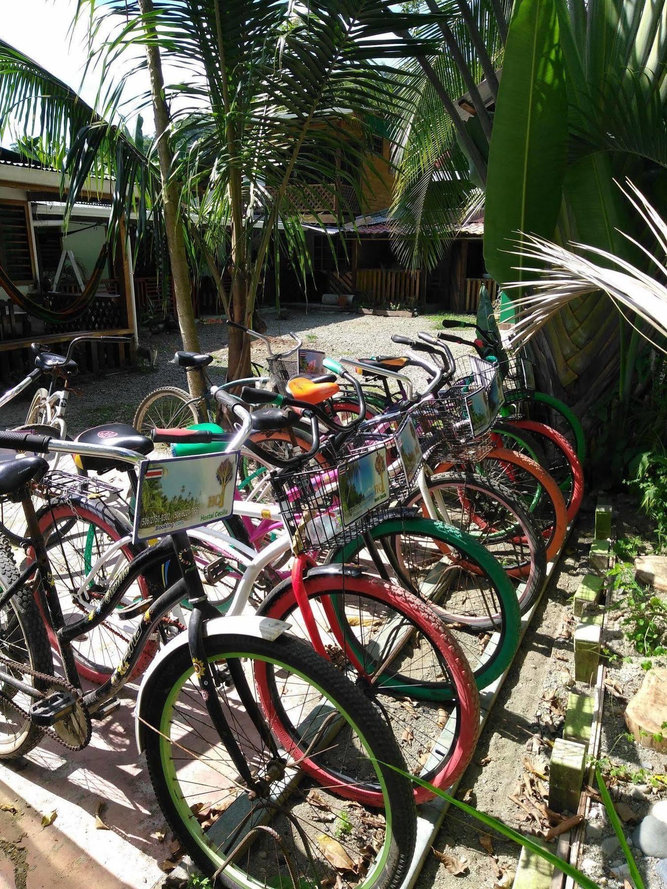 Hostal Cecilia Puerto Viejo de Talamanca エクステリア 写真